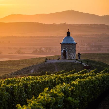 Vinný sklep Vinoza Velké Bílovice Exteriér fotografie