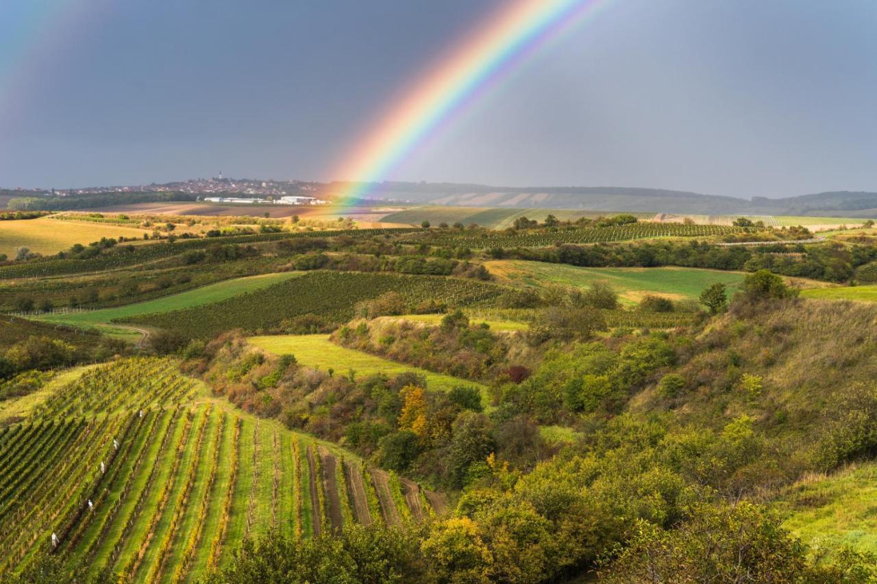 Vinný sklep Vinoza Velké Bílovice Exteriér fotografie