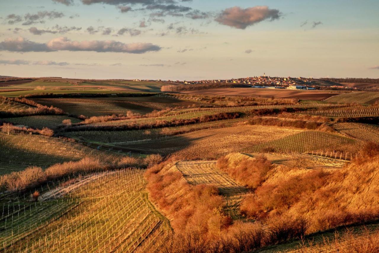 Vinný sklep Vinoza Velké Bílovice Exteriér fotografie