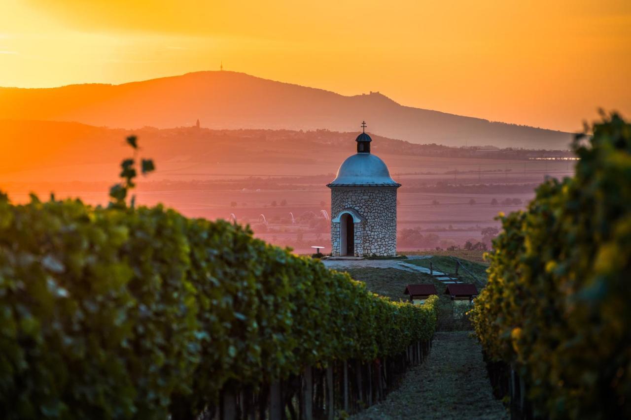 Vinný sklep Vinoza Velké Bílovice Exteriér fotografie