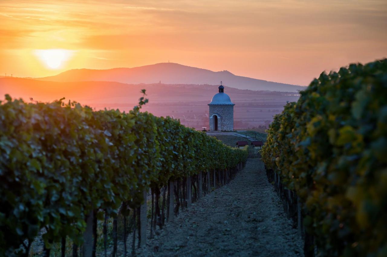 Vinný sklep Vinoza Velké Bílovice Exteriér fotografie
